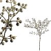 Plant Peral