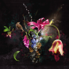Photographic Art Foxglove