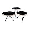 Salontafels Petrified Wood (Set van 3)