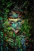 Photographic Art Camouflage