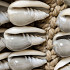 Necklace Shell Handmade 