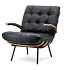 Fauteuil Bastiaan