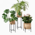 Plant Stand Vivi