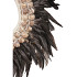 Shell With Feather Necklace