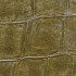 Wallpaper Anguille Big Croco Legend - Big Croco