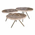 Salontafels Petrified Wood (Set van 3)
