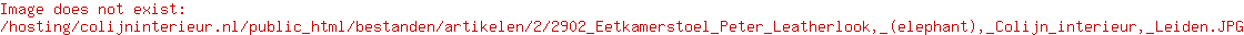 Eetkamerstoel Peet
