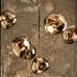 Hanglamp Melt Chandelier