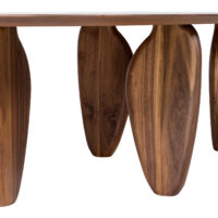 ECHO C 001 DETAIL 2.jpg