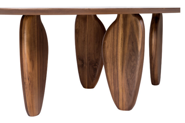 ECHO C 001 DETAIL 2.jpg