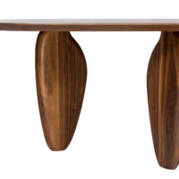 ECHO C 001 DETAIL 4.jpg