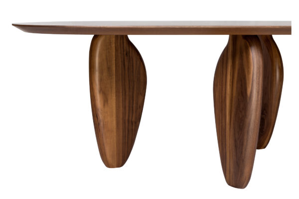 ECHO C 001 DETAIL 4.jpg