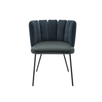 eetkamerstoel gaia.png