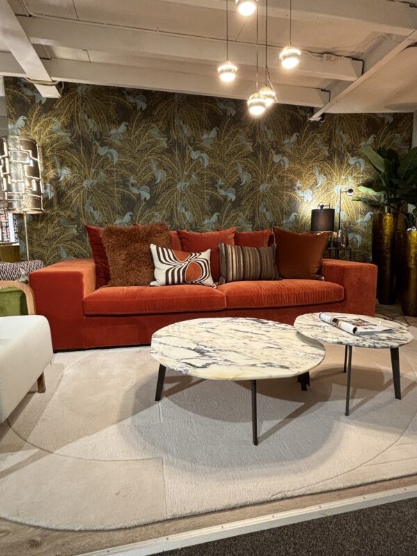Discover showroom  Royal Saffron (2).jpeg