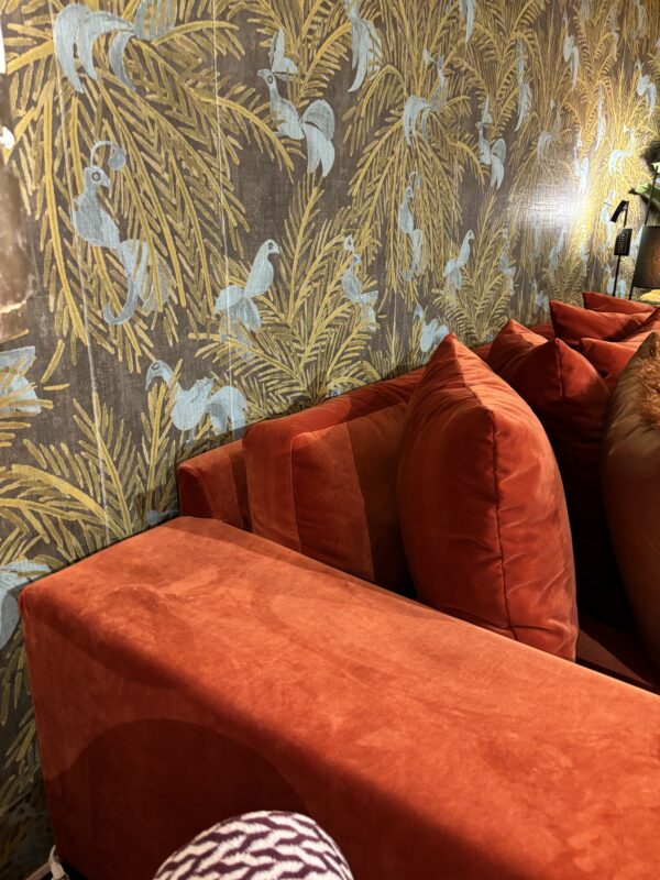 Discover showroom  Royal Saffron (5).jpeg