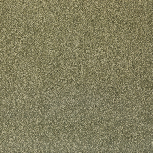 Ontwerp zonder titel (6).png