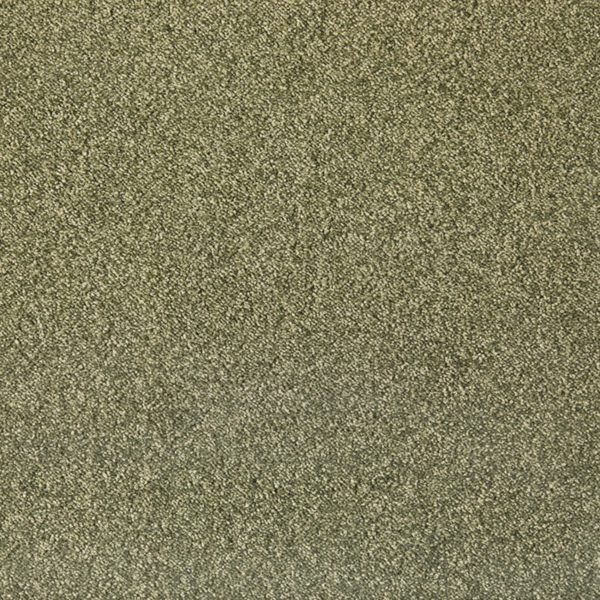 Ontwerp zonder titel (6).png