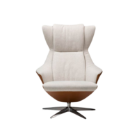 colijninterieur (4).png