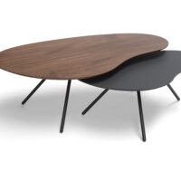 Cloudy-salontafels-noten-fineer-zwart-fenixntm.jpg