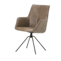 Eetkamerstoel Zoe (1).png