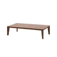 Salontafel hanny.png