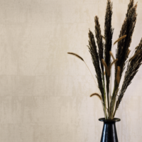 colijninterieur (28).png