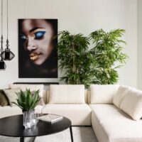 extra-Lexus LSD 4180_1.jpg