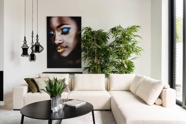 extra-Lexus LSD 4180_1.jpg