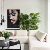 extra-Lexus LSD 4180_3.jpg