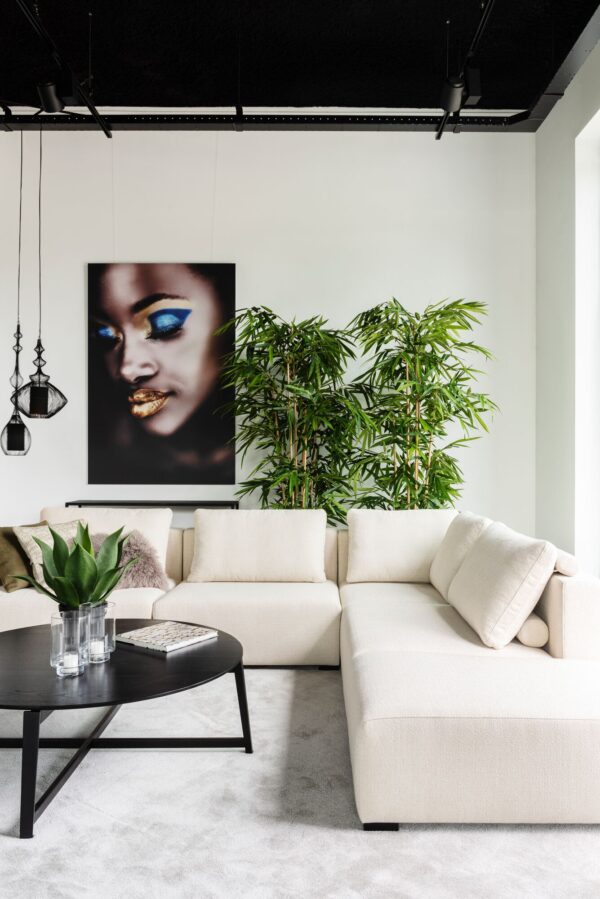 extra-Lexus LSD 4180_3.jpg