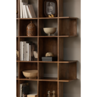 Boekenkast sinne de eekhoorn colijn sfeer.png