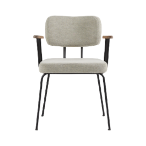 Eetkamerstoel kobe dyyk colijn met arm.png