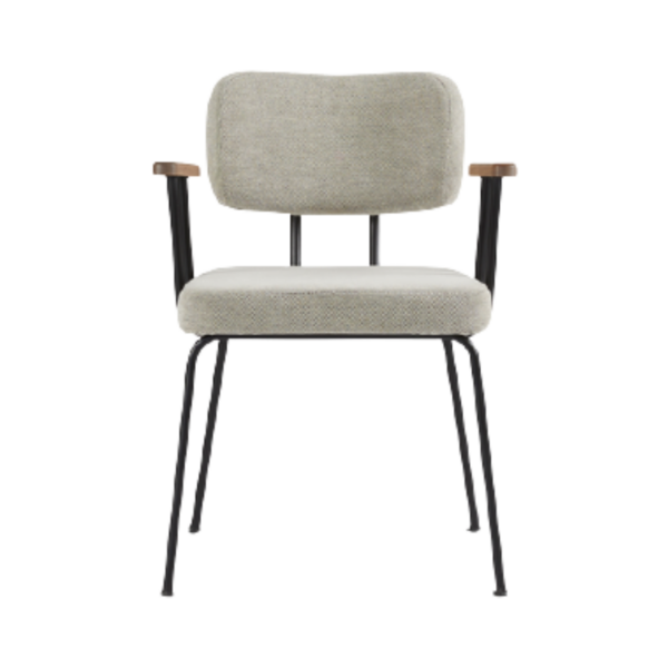 Eetkamerstoel kobe dyyk colijn met arm.png