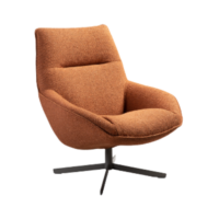 Fauteuil gigi cartel living colijn (3).png
