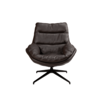 colijninterieur website artikel formaat (3).png