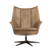 Fauteuil parel gealux colijn.png